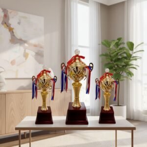 Customized Winner Cup Trophy Set