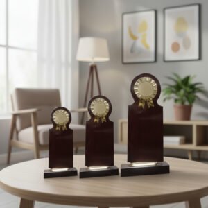 Customized Wooden Medal Trophy Set