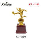 Customized Trophy KT-1145