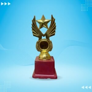 Star Wings Trophy