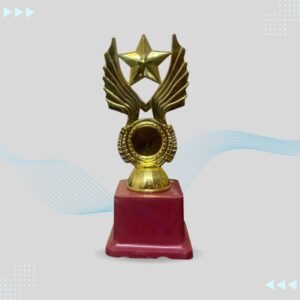 Star Wings Trophy