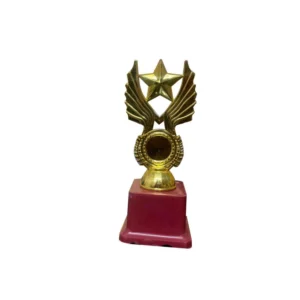 Star Wings Trophy
