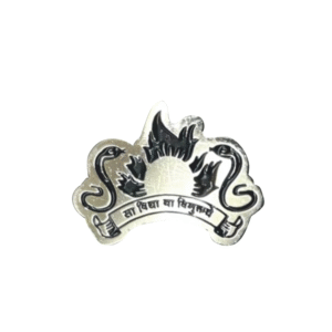 Lapel Pin