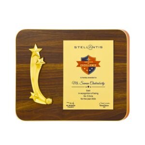 Elegant wooden plaque with a golden shooting-star element