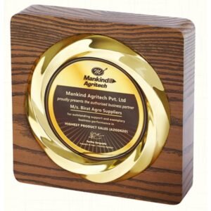 Premium Gold Round Excellence Memento