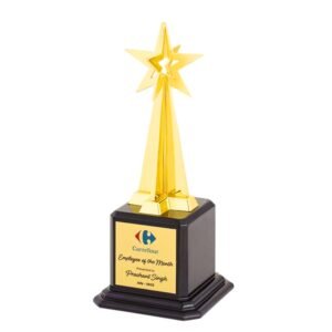 Premium golden star design trophy