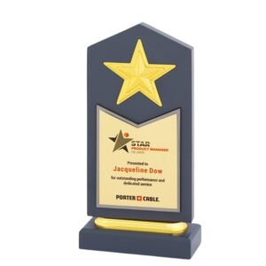 Star Excellence Achievement Memento